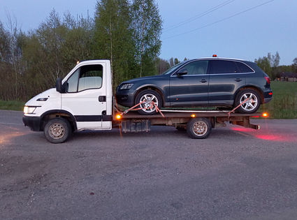 Iveco / Daily