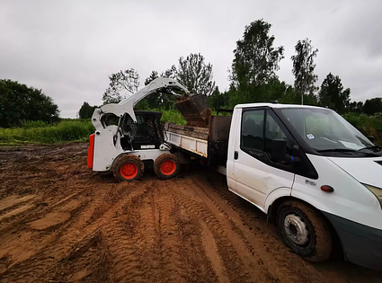 Bobcat  / S175