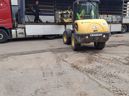 Yanmar  / V65