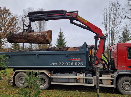 Mercedes, MAN,  / Bobcat