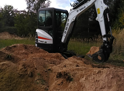 bobcat