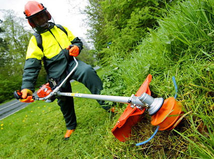 Lepšās un Bauskas rajonā