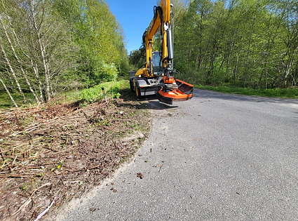 JCB  / Hydradig 110W